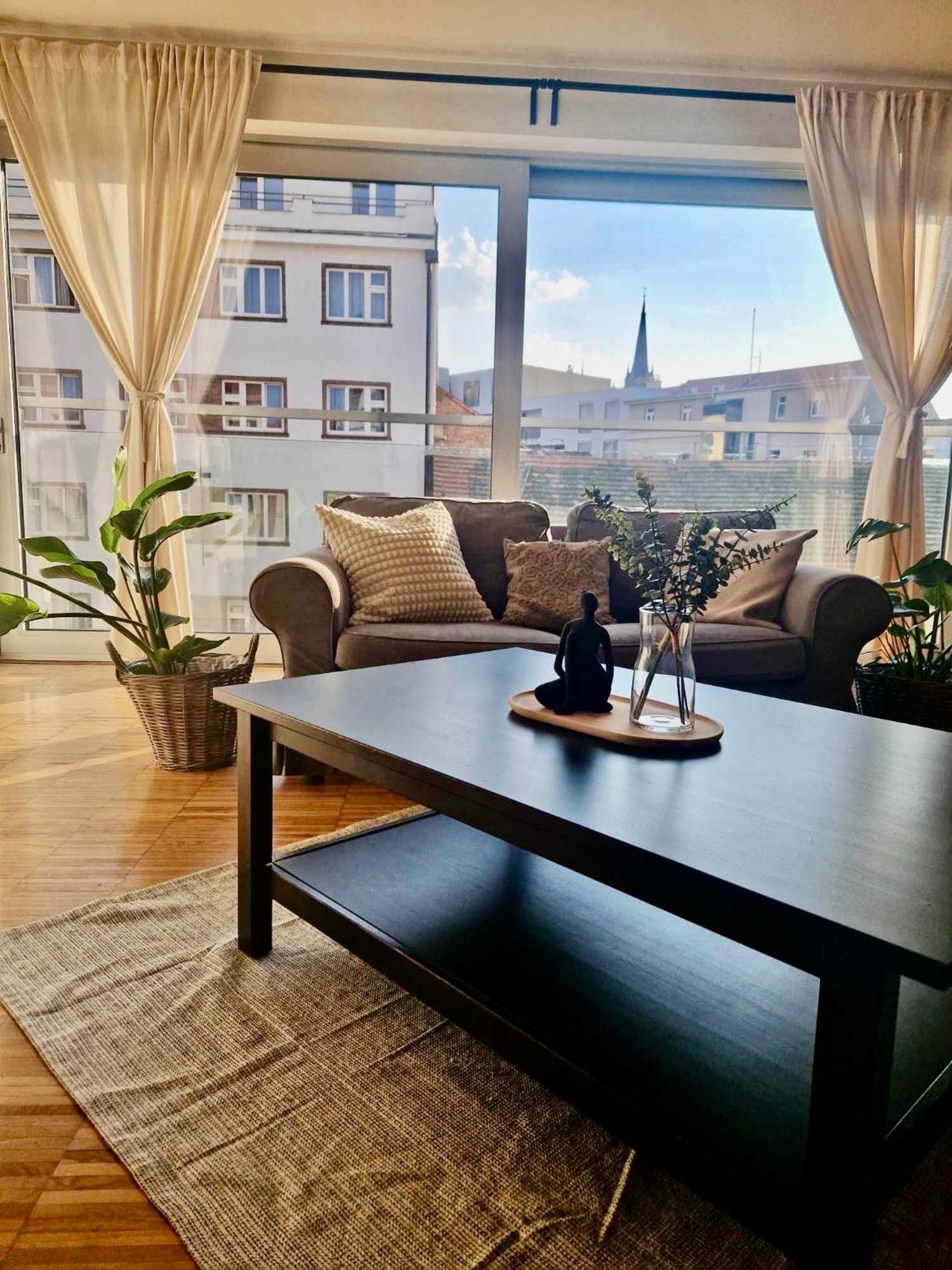 Spacious Near Center With Balcony And Garage Parking 公寓 布拉格